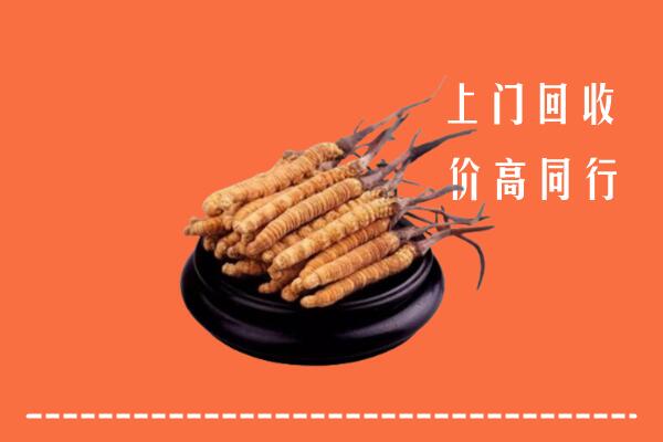 高价求购：那曲市回收散虫草